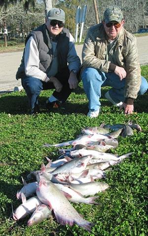 Good Catch 14-18 inch catfish